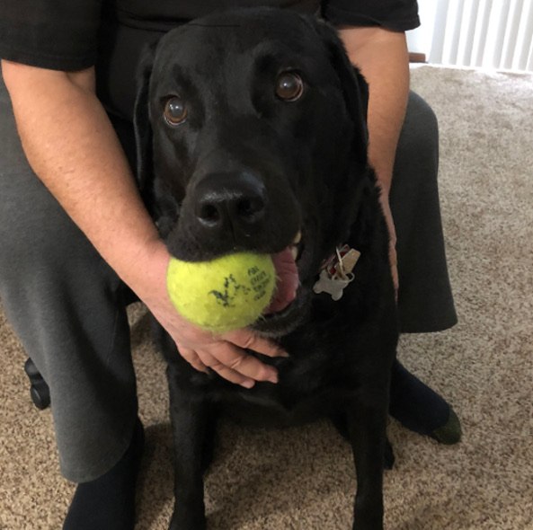 Our Family Dog